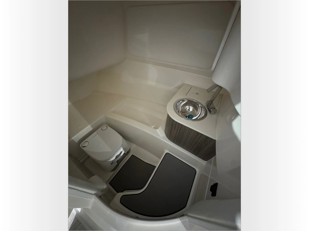 2026 Sea Ray Sdx 250 Outboard alt