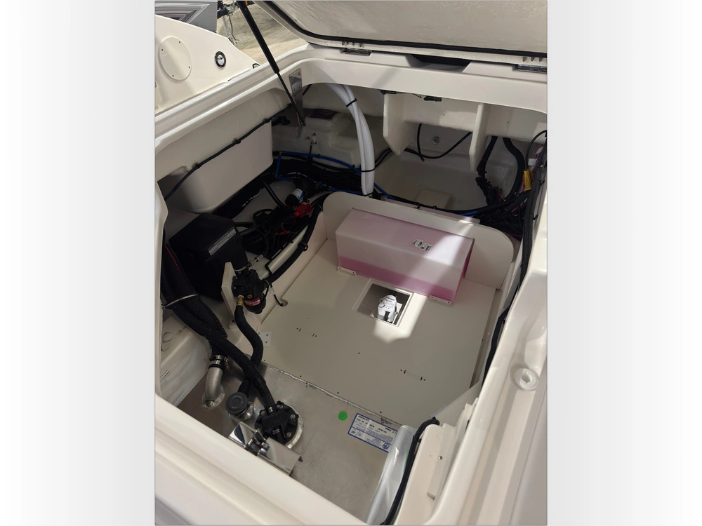 2026 Sea Ray Sdx 250 Outboard alt