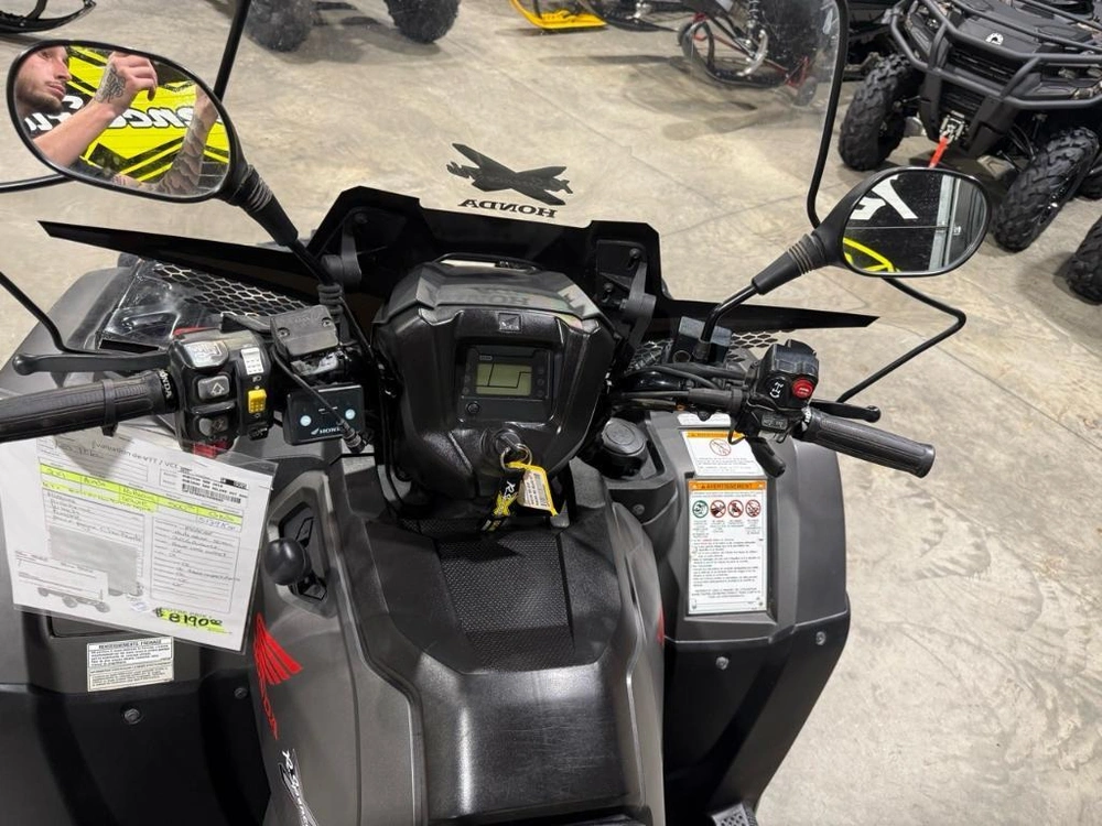 Honda Rubicon 500 2019 alt