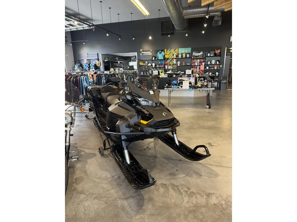 2025 Ski-Doo Skandic LE 600 Ace