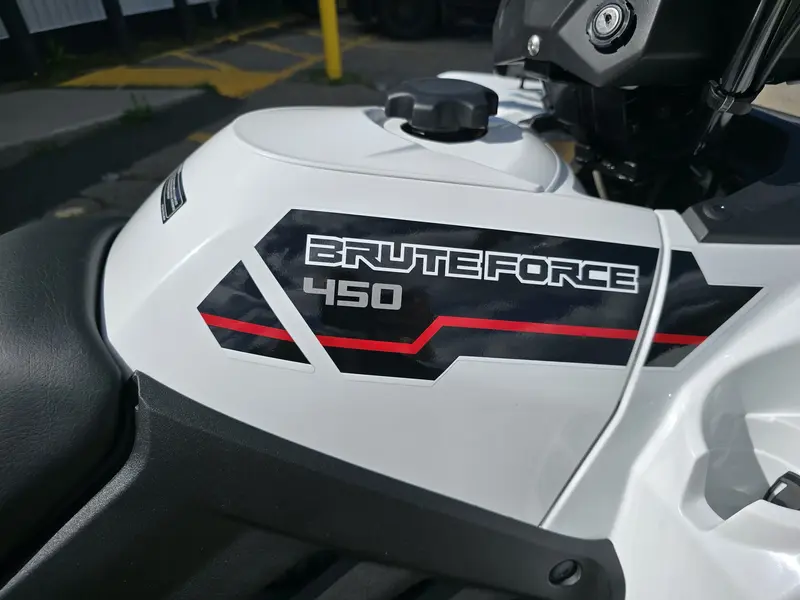 2025 Kawasaki BRUTE FORCE 450 thumbnail 11