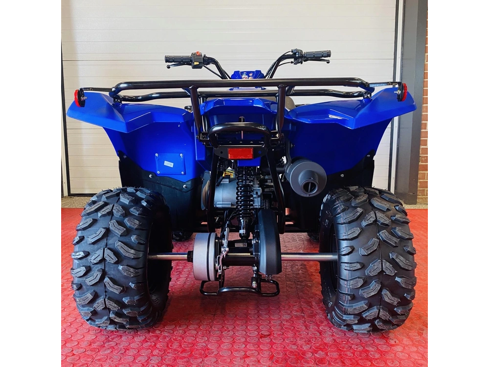 2025 Yamaha Grizzly 110 alt