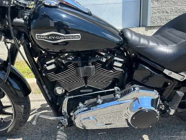 2020 Harley-Davidson SPORT GLIDE FLSBFLSB