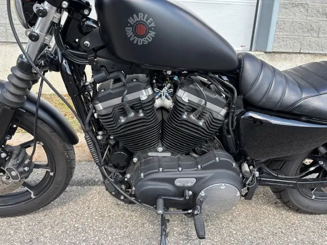 Harley-Davidson SPORTSTERXL883 2020