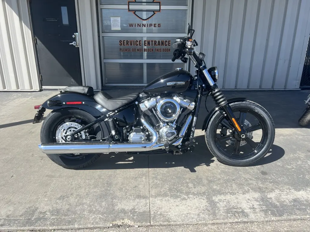 2025 Harley-Davidson STREET BOB 