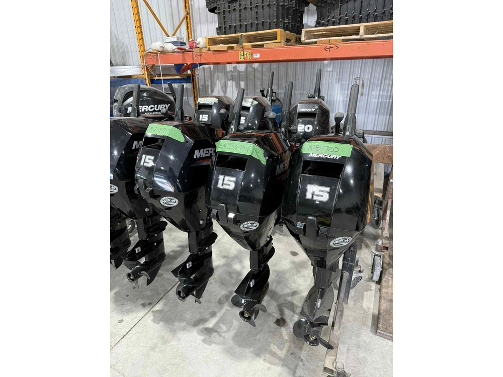 2024 Mercury 15 Hp Efi alt