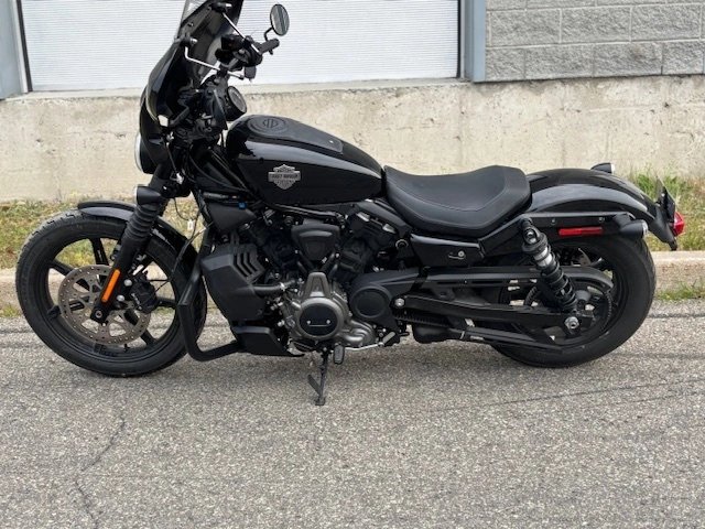 Harley-davidson Nightster Rh975 2024