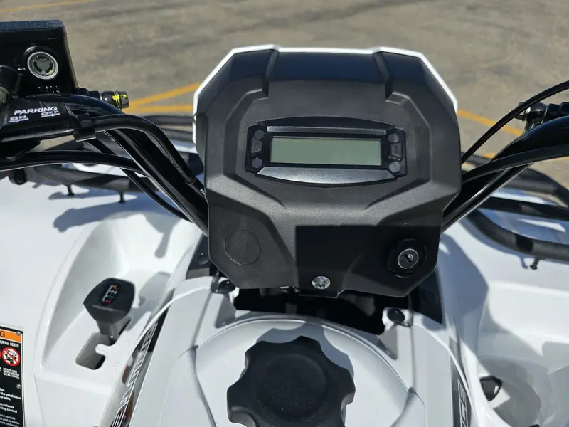 2025 Kawasaki BRUTE FORCE 450 thumbnail 12