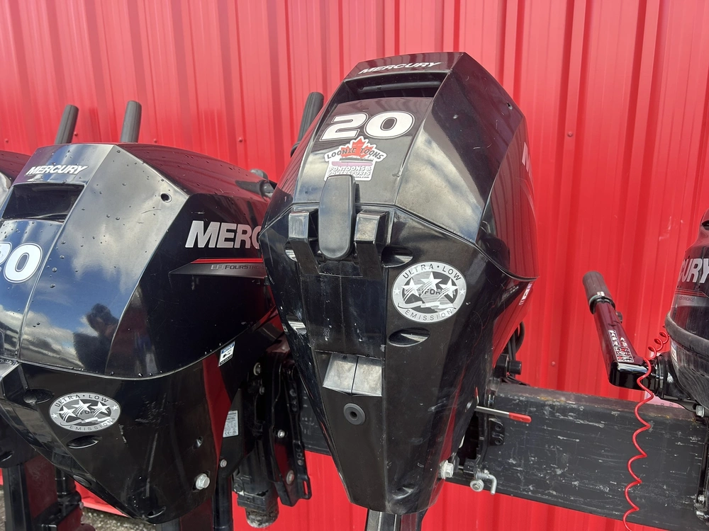 2022 Mercury F20elh alt