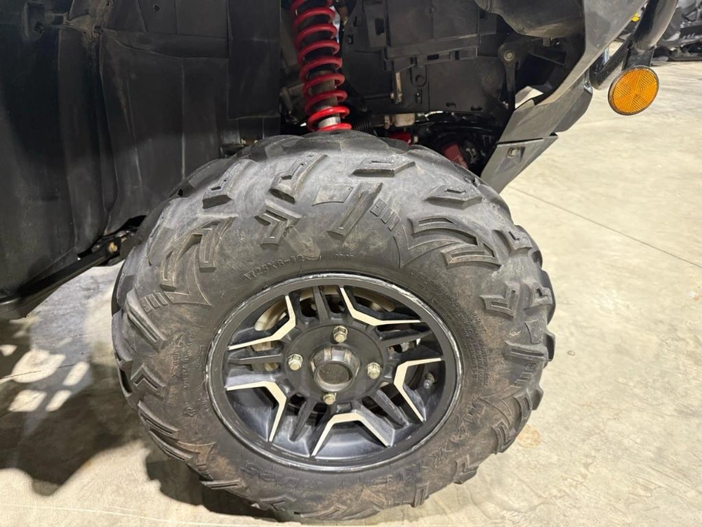 Honda Rubicon 500 2019 alt