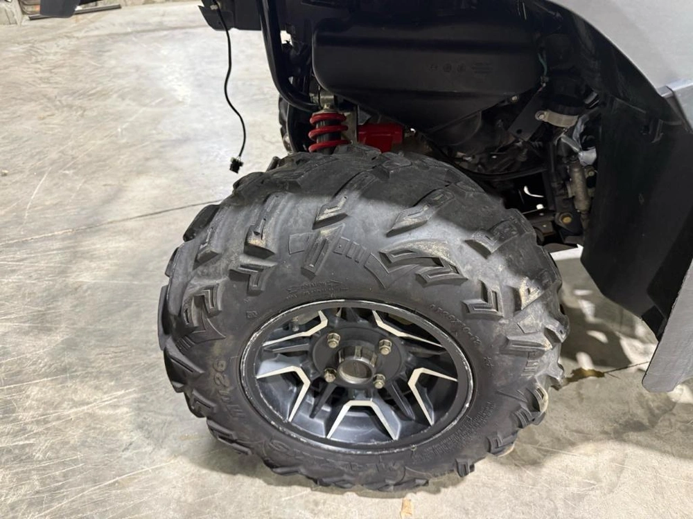 Honda Rubicon 500 2019 alt