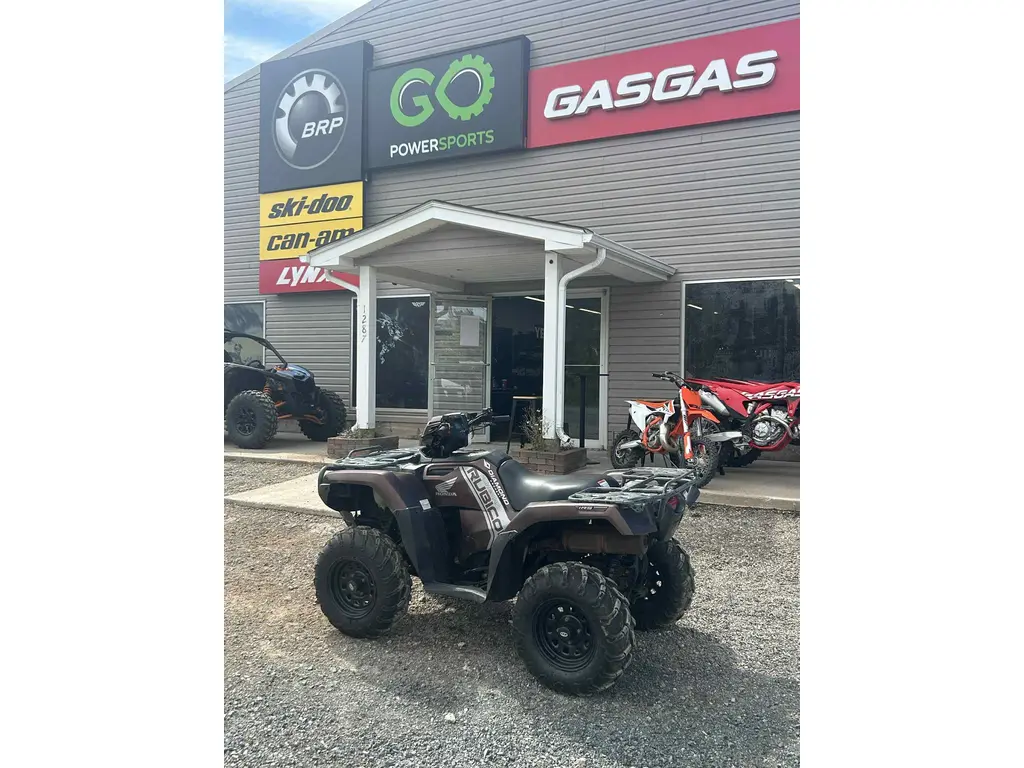 2020 Honda 520 Rubicon Foot Shift TRX520FM6L