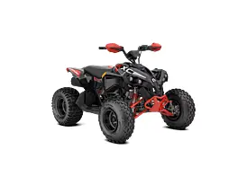 2026 Can-Am RENEGADE 110 XXC
