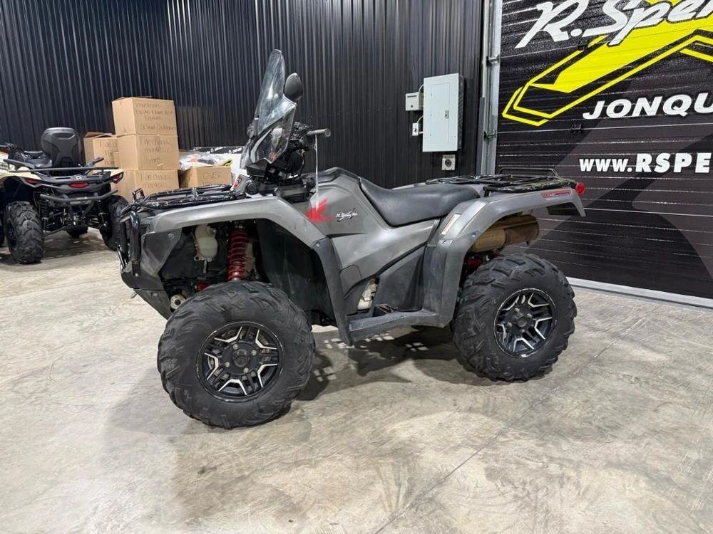 Honda Rubicon 500 2019 alt