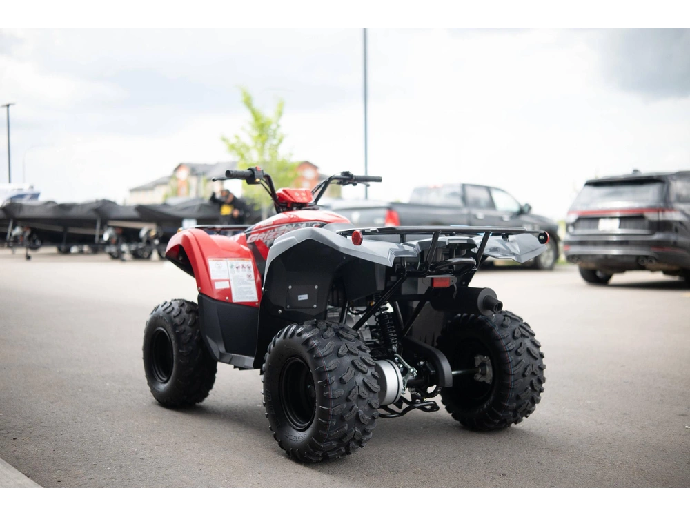 2025 Yamaha Grizzly 110 alt