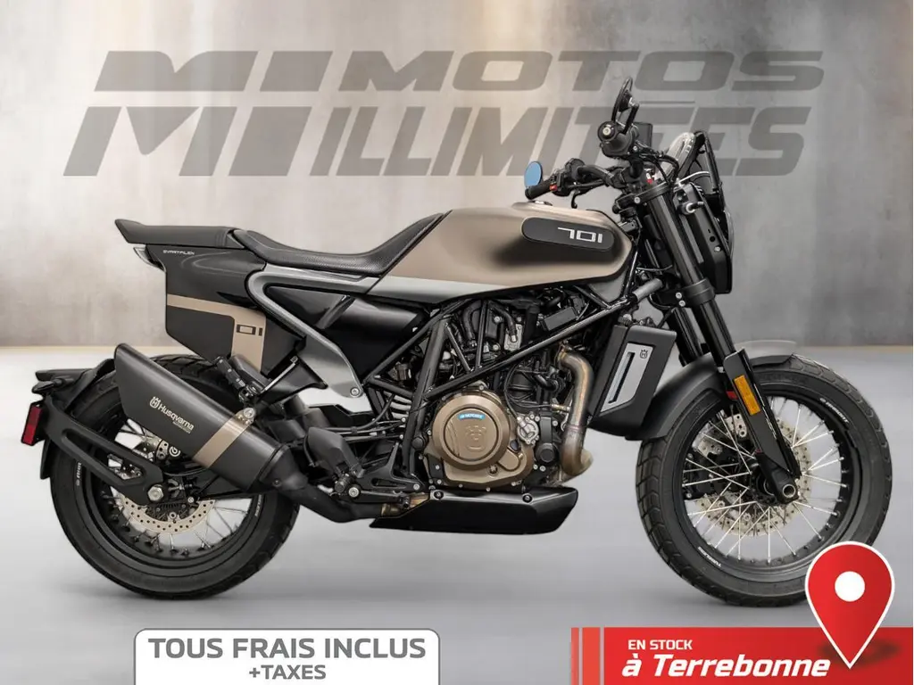 2020 Husqvarna SVARTPILEN 701
