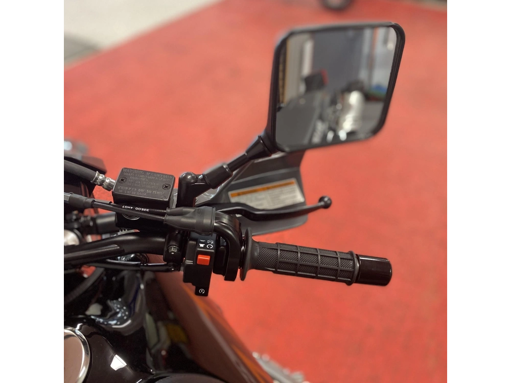 2025 Suzuki Dr 650s alt