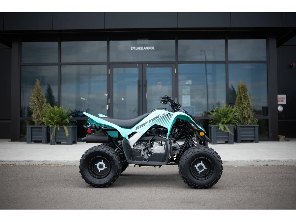 2025 Yamaha Raptor 110 alt