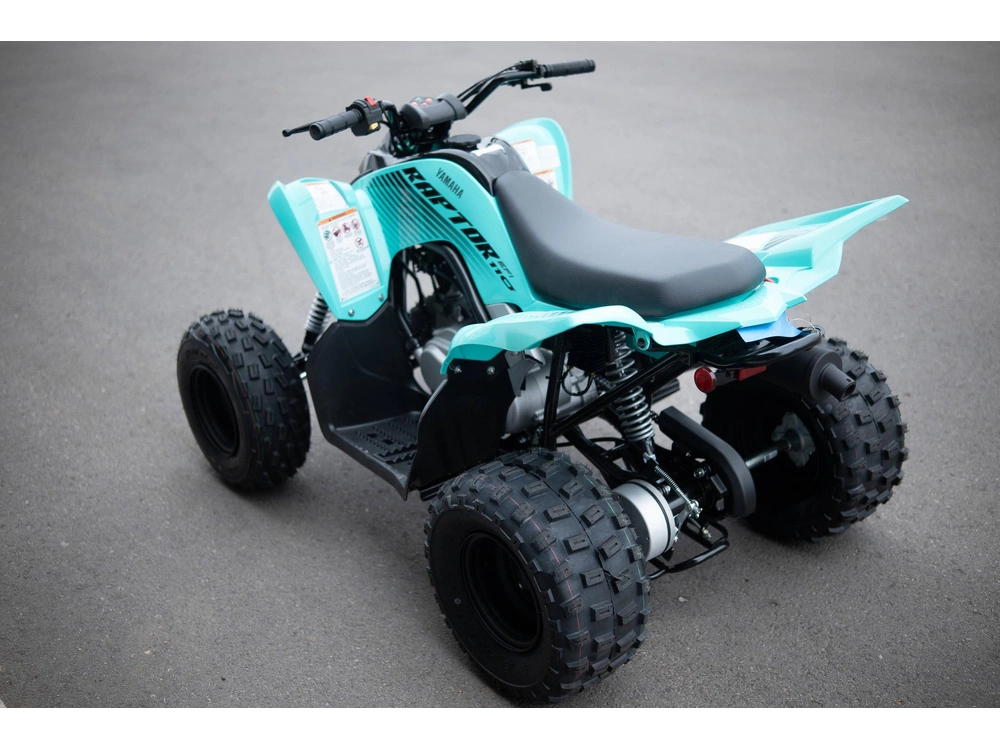 2025 Yamaha Raptor 110 alt