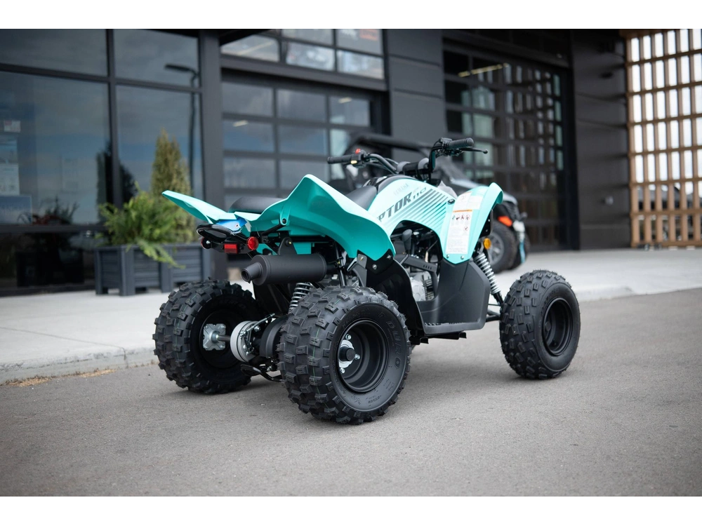 2025 Yamaha Raptor 110 alt