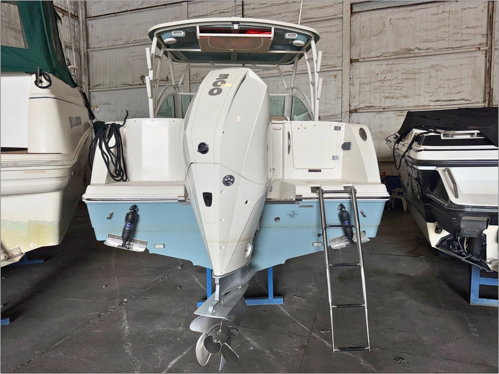 2021 Sailfish 245 Dc alt