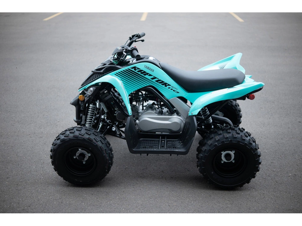 2025 Yamaha Raptor 110 alt