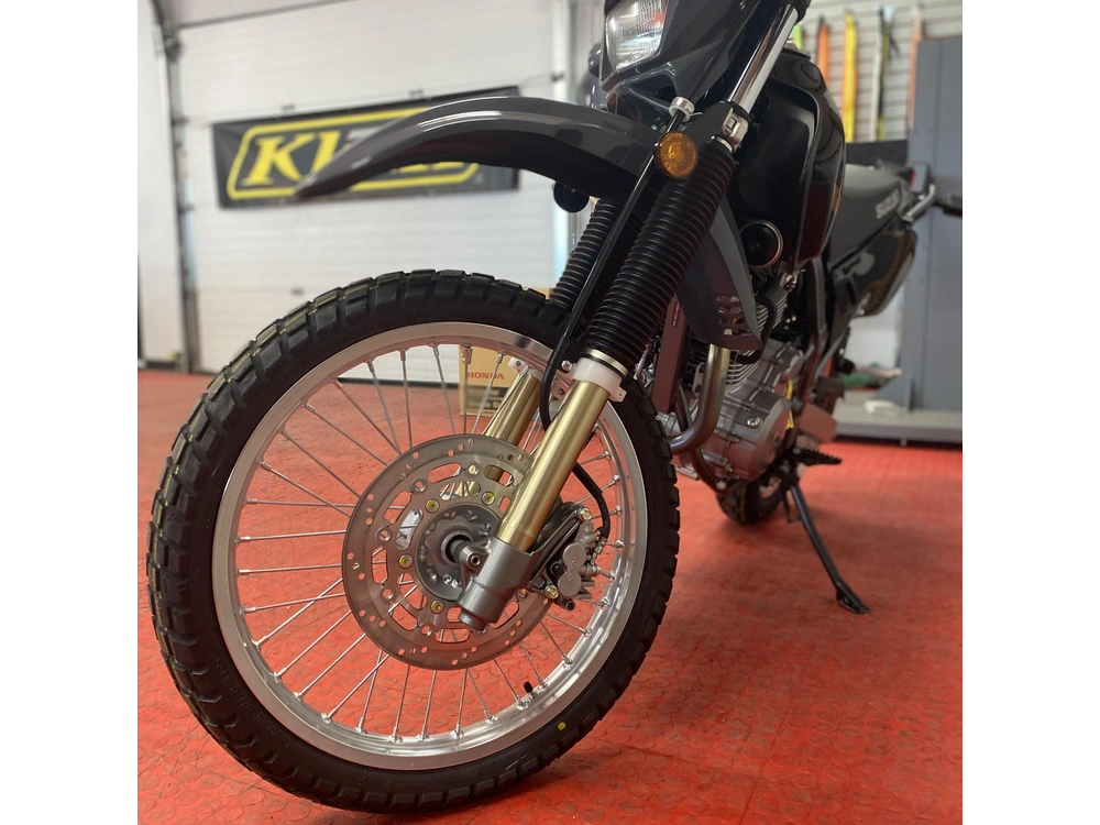 2025 Suzuki Dr 650s alt