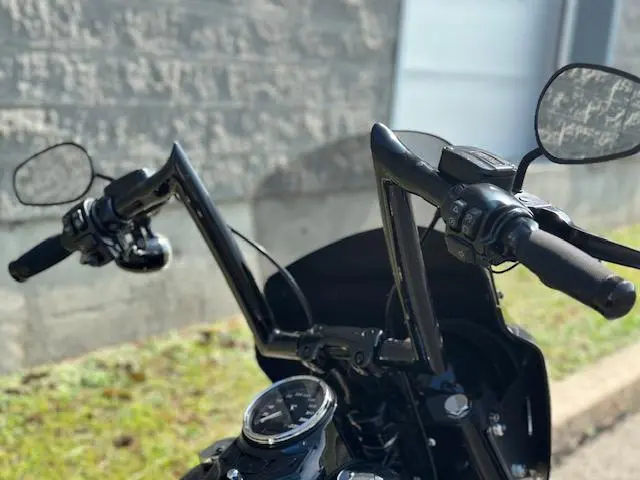 Harley-Davidson FLS Softail SlimFLSS 2016