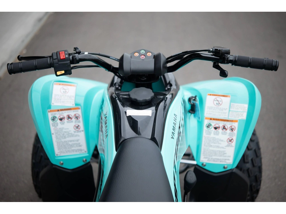 2025 Yamaha Raptor 110 alt