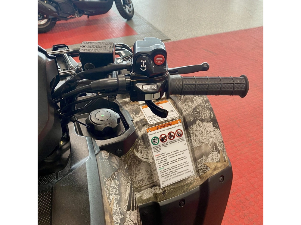 2025 Honda Rubicon 4x4 Automatic Dct Eps alt