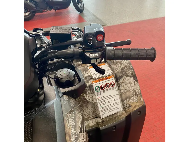 2025 Honda RUBICON 4x4 AUTOMATIC DCT EPS