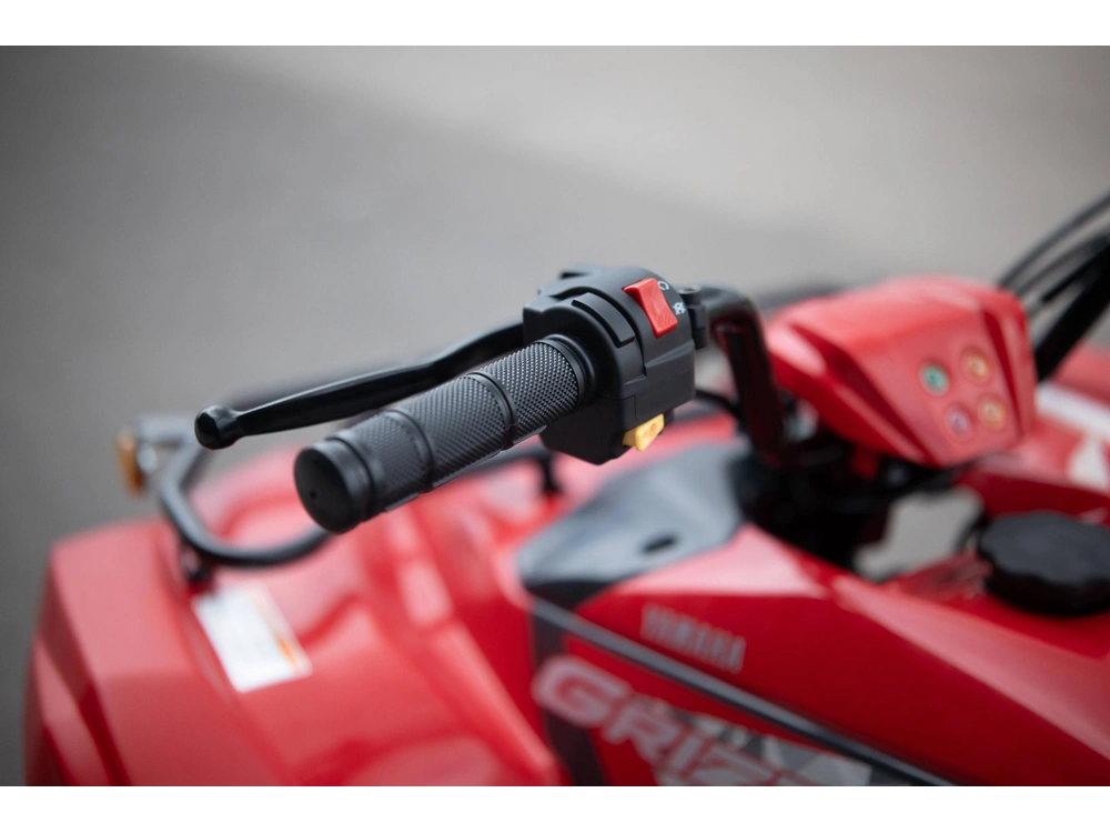 2025 Yamaha Grizzly 110 alt