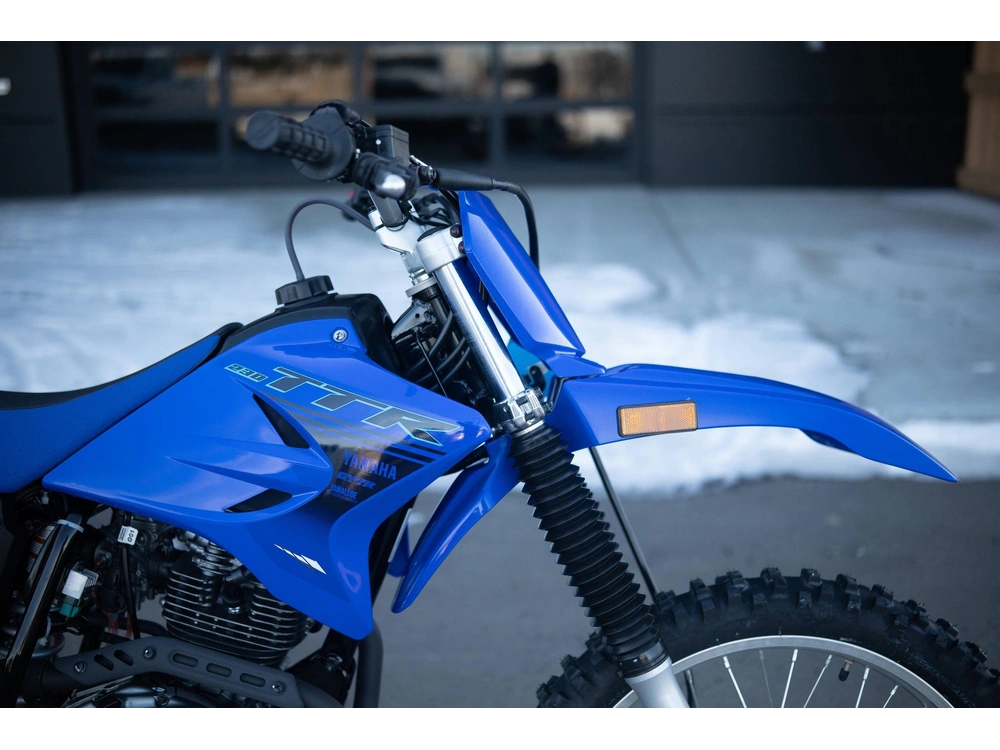 2025 Yamaha Tt-r 230 alt