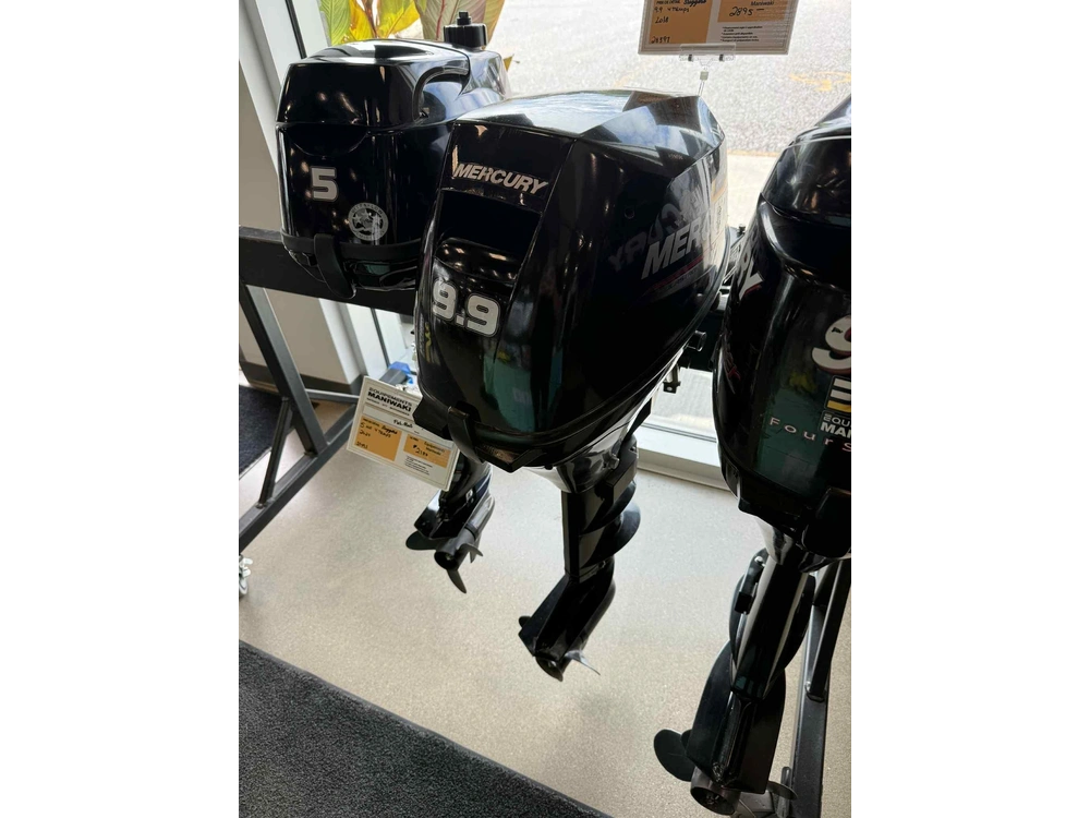 Mercury 9.9ml 2017 alt