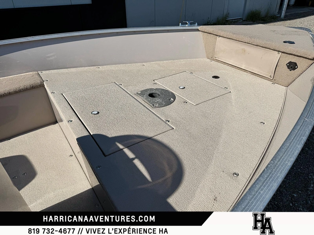 2007 Princecraft Starfish Dlx Sc alt