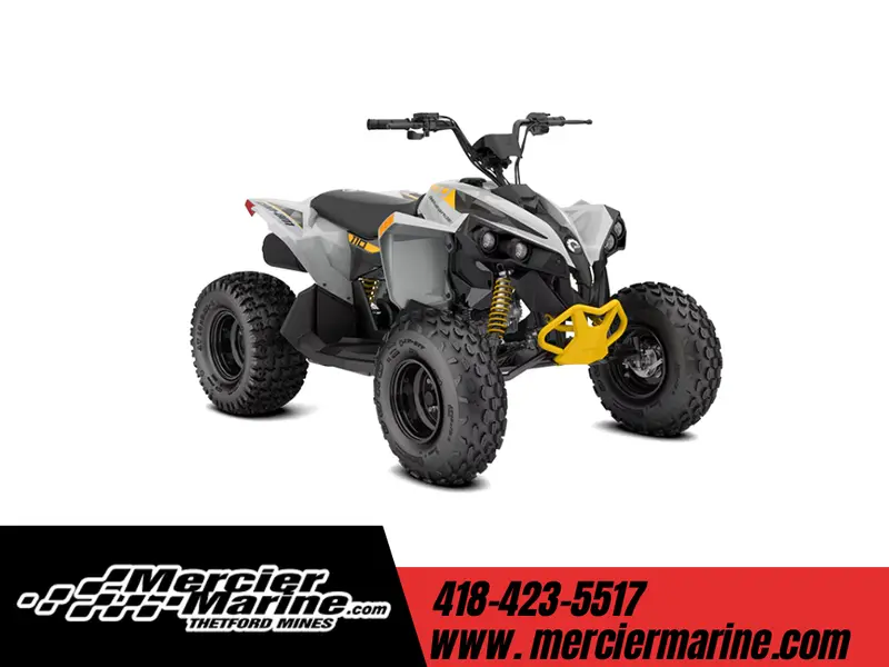 2026 Can-Am Renegade 110 EFI
