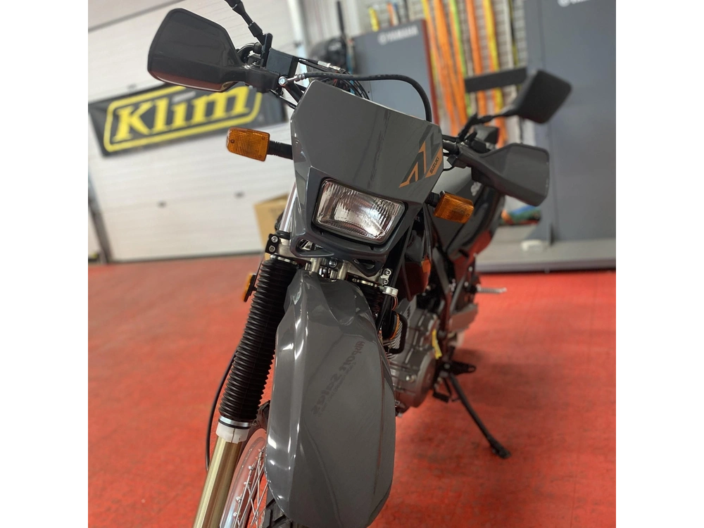 2025 Suzuki Dr 650s alt