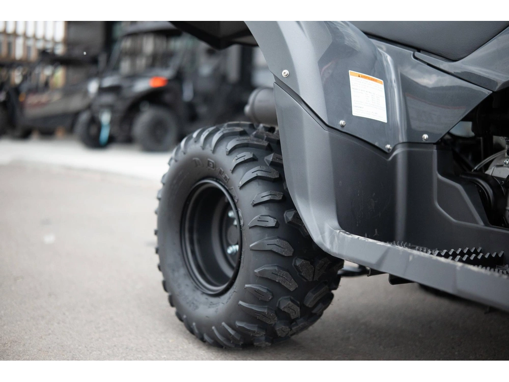 2025 Yamaha Grizzly 110 alt