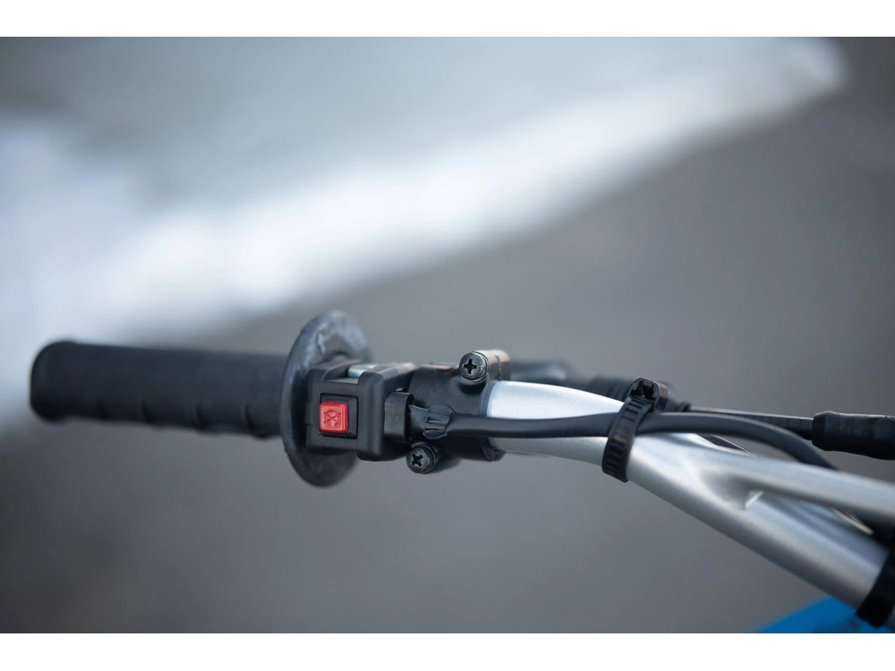 2025 Yamaha Tt-r 230 alt