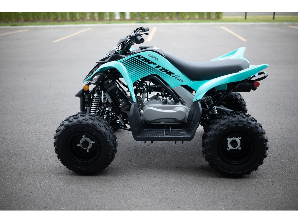2025 Yamaha Raptor 110 alt