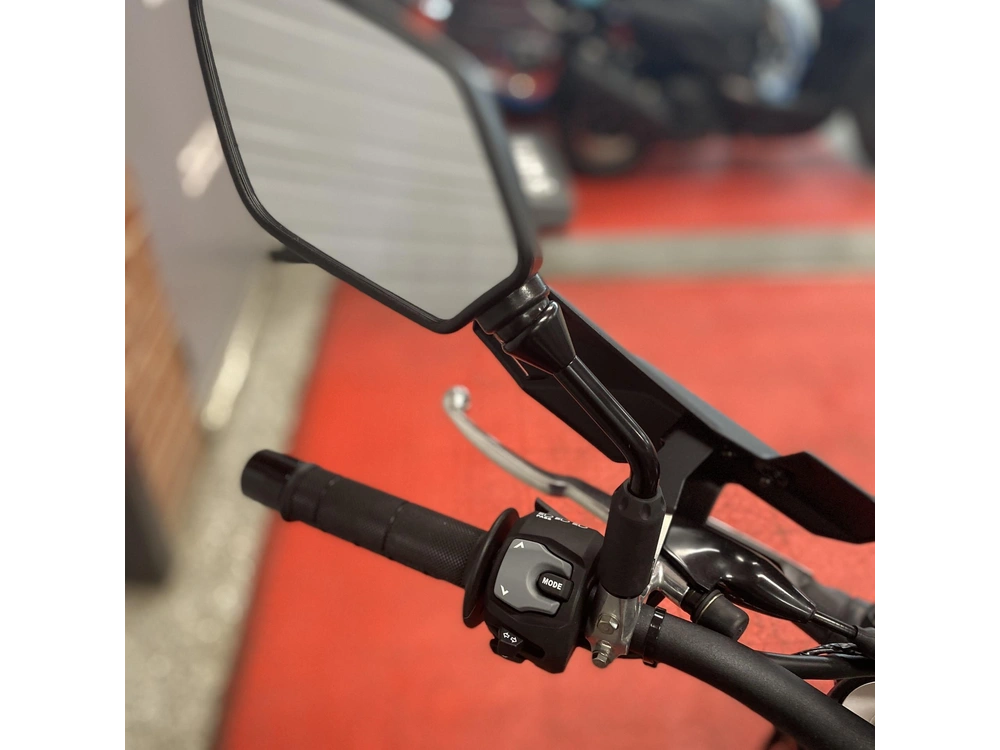 2025 Suzuki Dr-z 4sm alt