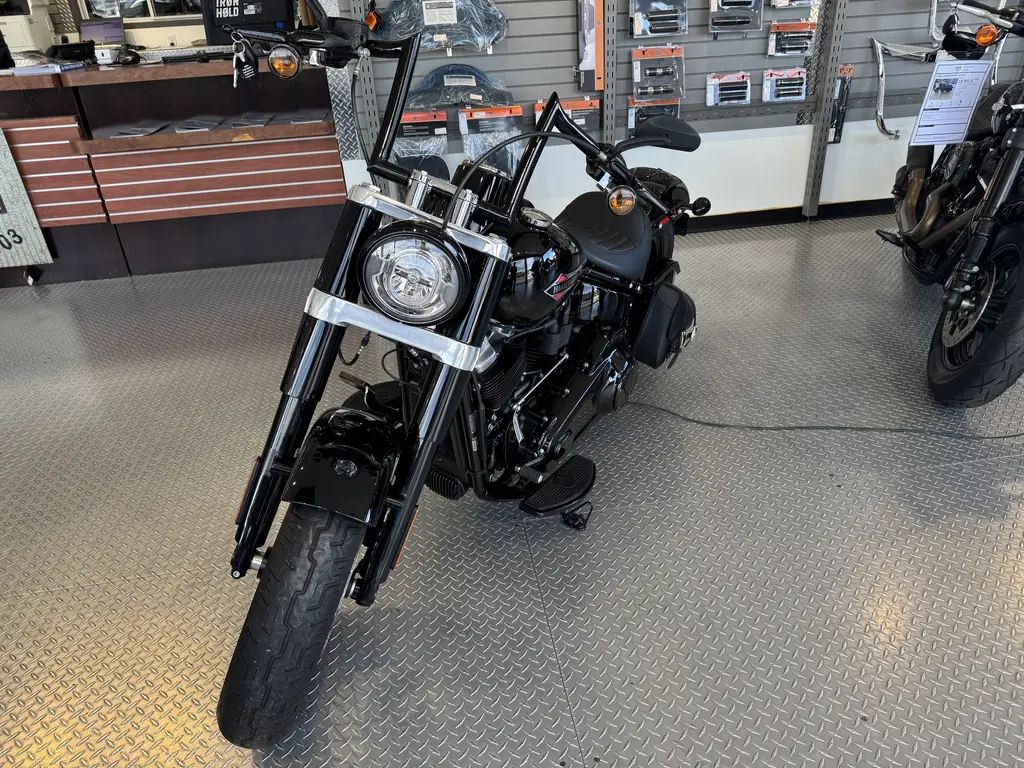2021 Harley-Davidson FLSL Softail Slim