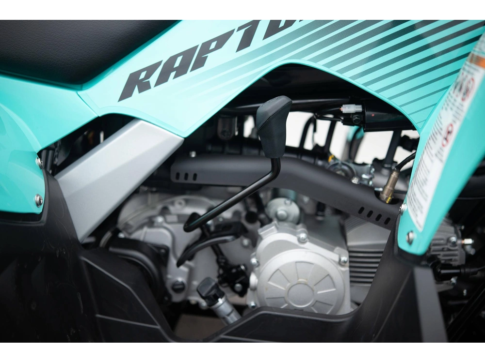 2025 Yamaha Raptor 110 alt