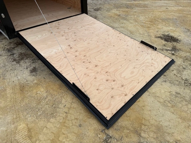 2025 Cjay Trailers Txr 6'x12' alt