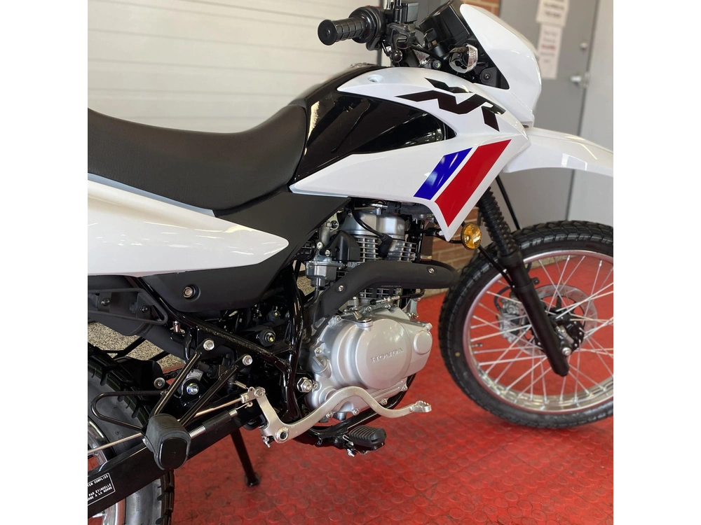 2025 Honda Xr150ls alt