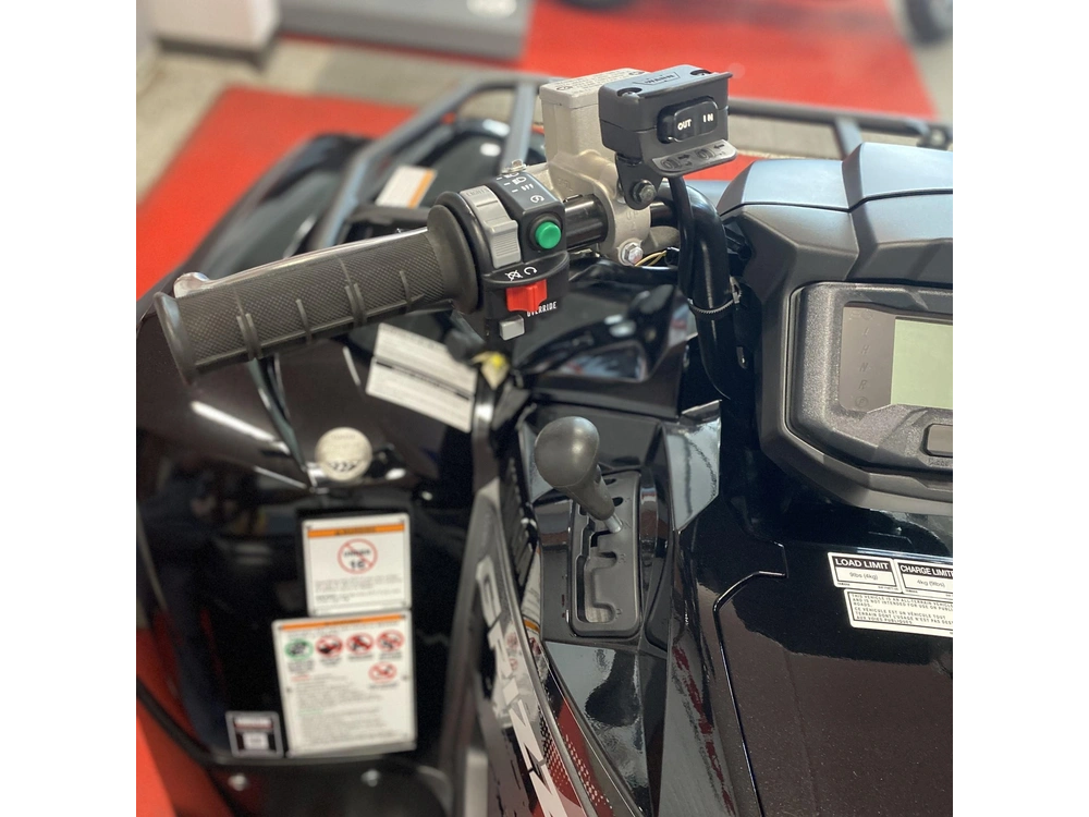 2025 Yamaha Grizzly Eps Se alt