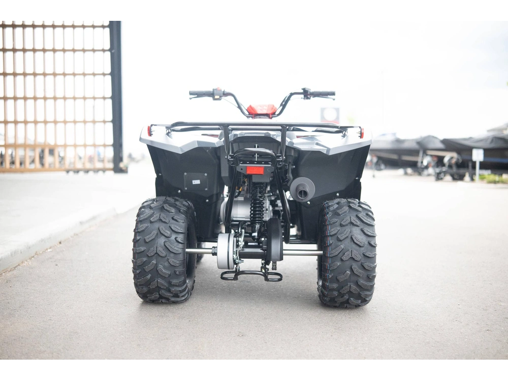 2025 Yamaha Grizzly 110 alt