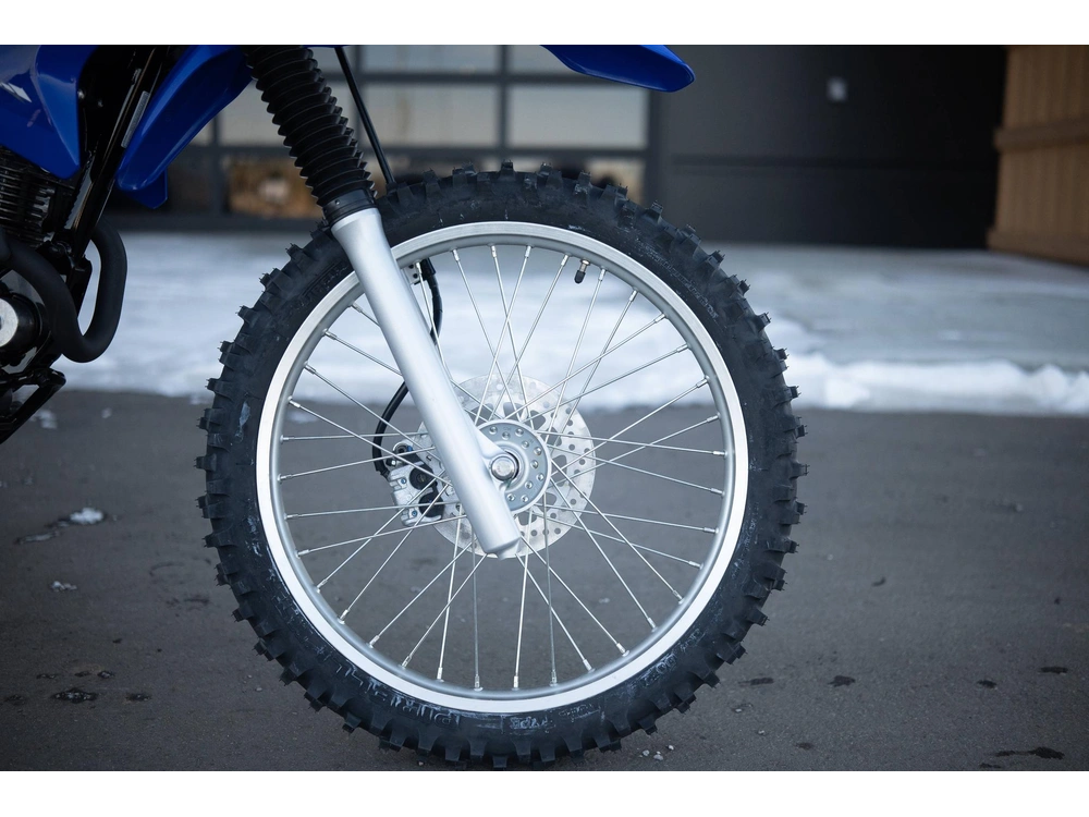 2025 Yamaha Tt-r 230 alt