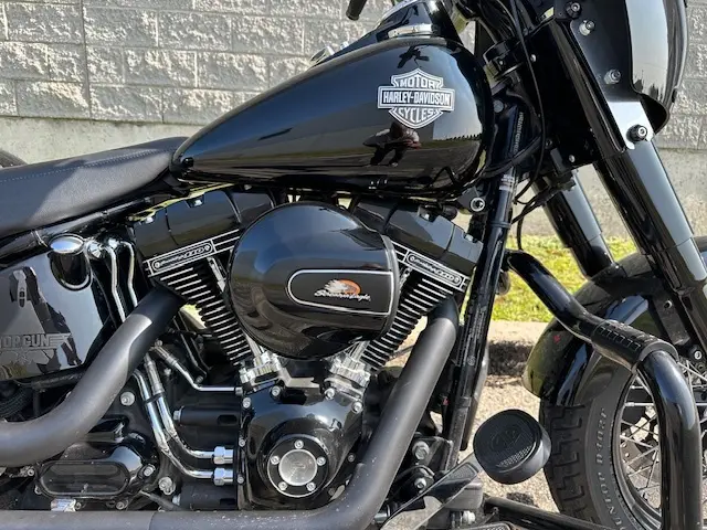 Harley-Davidson FLS Softail SlimFLSS 2016
