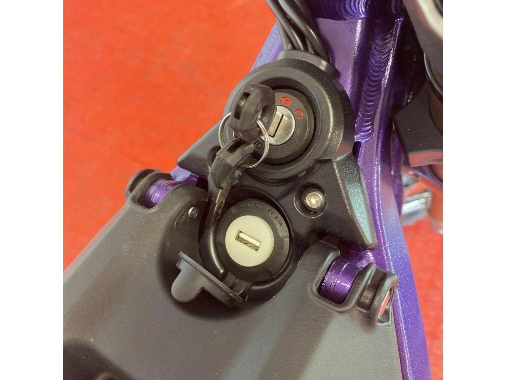 2025 Surron Light Bee X Purple alt